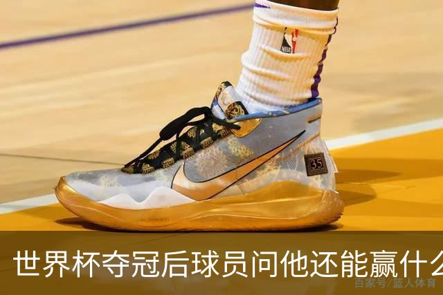 世界杯夺冠后球员问他还能赢什么，德拉富恩特的回答只有一场比赛