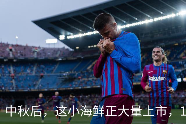中秋后，这小海鲜正大量上市，10元五斤，大爷大妈抢着买