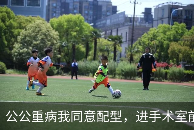 公公重病我同意配型，进手术室前他悄悄把几千万家底全留给小叔子，转头冲我笑，我推开护士的手，直接不签了
