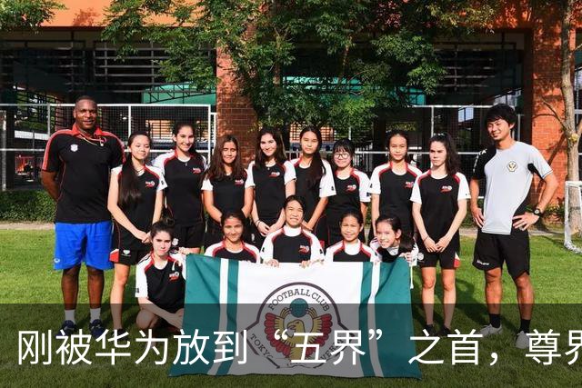 刚被华为放到“五界”之首，尊界就出问题了