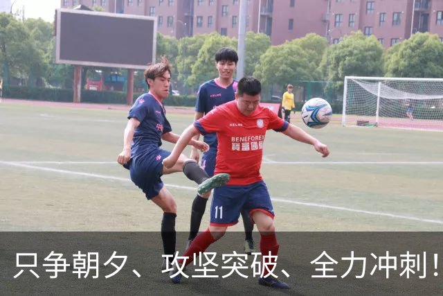 只争朝夕、攻坚突破、全力冲刺！市委季度工作会议举行，陈吉宁作工作点评
