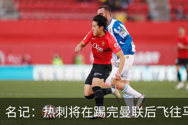 名记：热刺将在踢完曼联后飞往马贝拉进行集训和团建