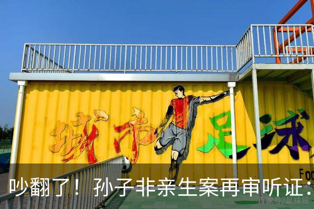 吵翻了！孙子非亲生案再审听证：女方提交"恩爱截图"，妹妹当场念出要钱清单，老人近两年未见孙子
