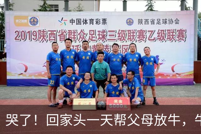 哭了！回家头一天帮父母放牛，牛就跌下山嘎了！网友：自求多福吧