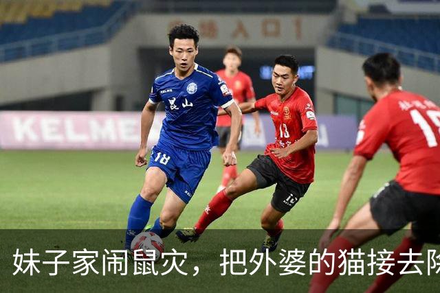 妹子家闹鼠灾，把外婆的猫接去除害，结果外婆每天视频800遍，网友笑疯：外婆和猫是真爱了