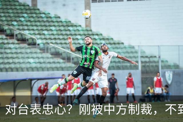 对台表忠心？刚被中方制裁，不到3天，巴拉圭部长对外连放2句狠话