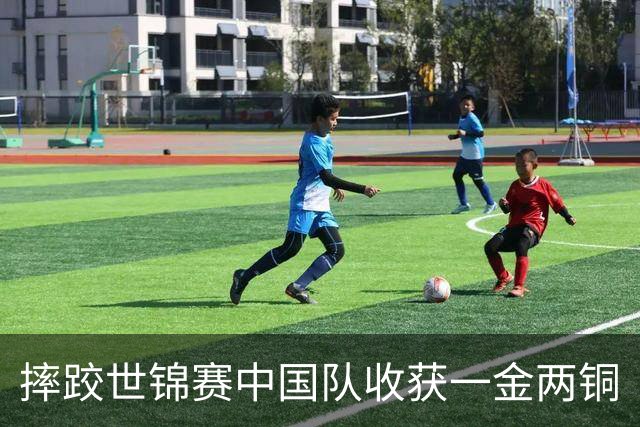 摔跤世锦赛中国队收获一金两铜