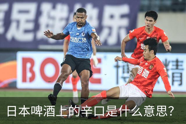日本啤酒上的辛口是什么意思？