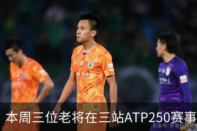 本周三位老将在三站ATP250赛事走完网球征途