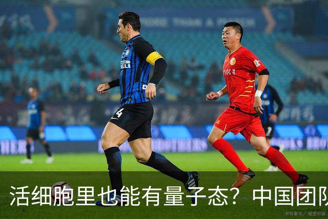活细胞里也能有量子态？中国团队称首次探测到