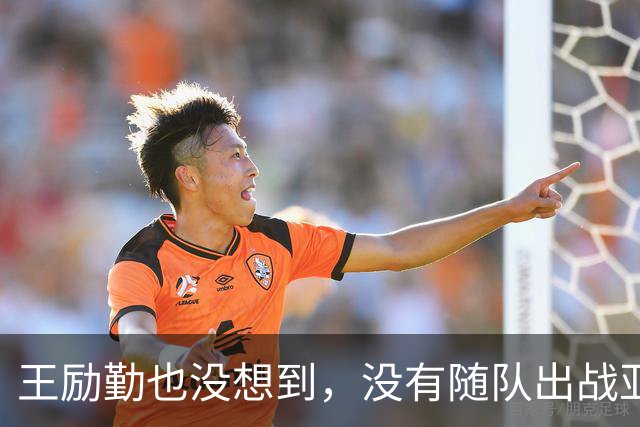 王励勤也没想到，没有随队出战亚运会的樊振东，会在上海闪闪发光