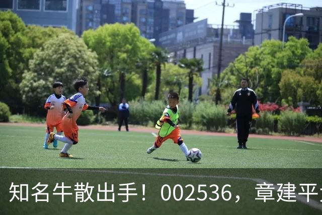 知名牛散出手！002536，章建平大举买入