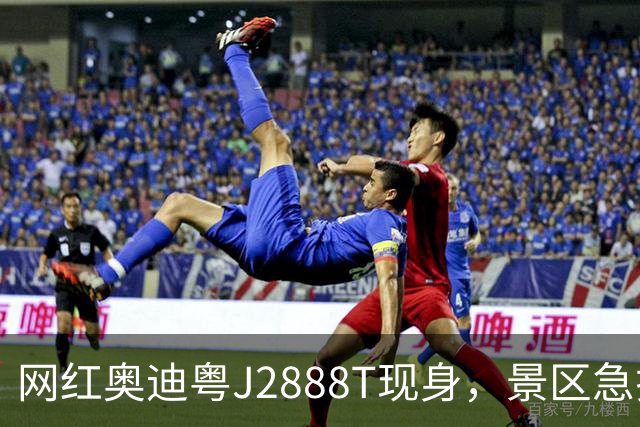 网红奥迪粤J2888T现身，景区急拉雪糕筒围住：已采取措施，请放心出行；此前该车主凭一己之力将几十辆车带进死胡同，“一战成名”