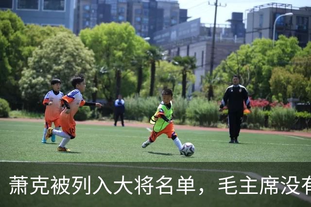 萧克被列入大将名单，毛主席没有意见，少奇同志称：他不如另一人