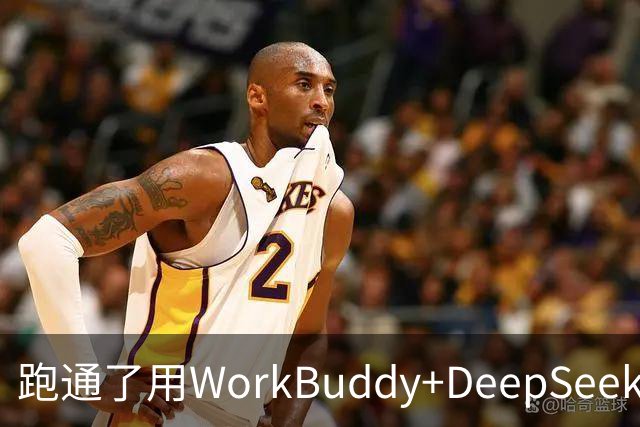 跑通了用WorkBuddy+DeepSeek生成Opus-5.5同款视频
