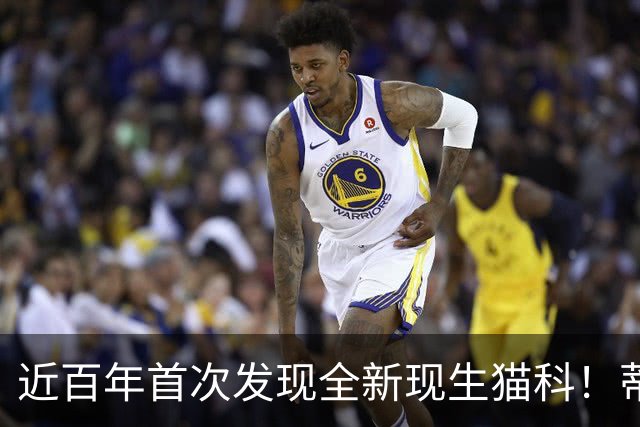 近百年首次发现全新现生猫科！蒂尔卡约虎猫正式命名，有哪些关键细节？