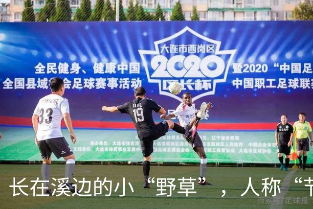 长在溪边的小“野草”，人称“节节草”，农民拔了扔，现20元一盆