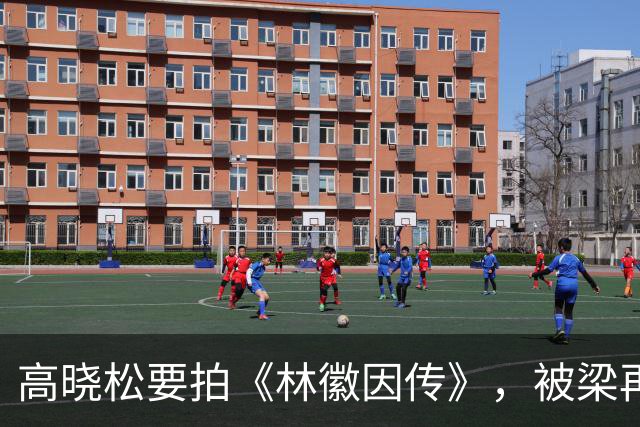 高晓松要拍《林徽因传》，被梁再冰警告：“你要是拍我妈和徐志摩的感情线，我告你破产！”高晓松满脸不快