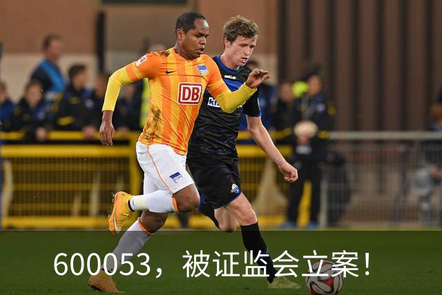 600053，被证监会立案！