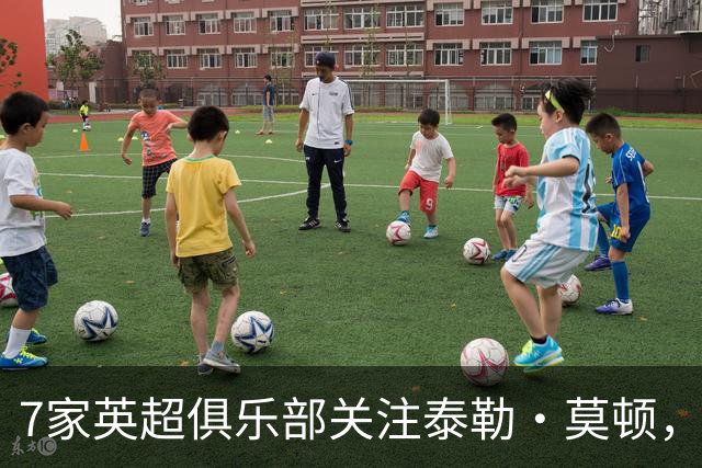 7家英超俱乐部关注泰勒·莫顿，利物浦持有20%二次转会分成