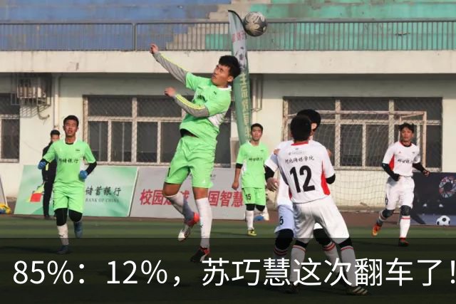 85%：12％，苏巧慧这次翻车了！李四川终于想明白，郑丽文受到认可